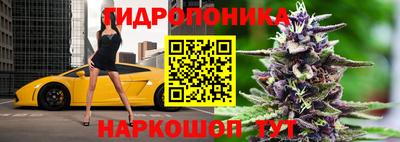 ALPHA PVP Пугачёв