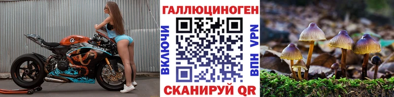Псилоцибиновые грибы мицелий кракен зеркало Татарск