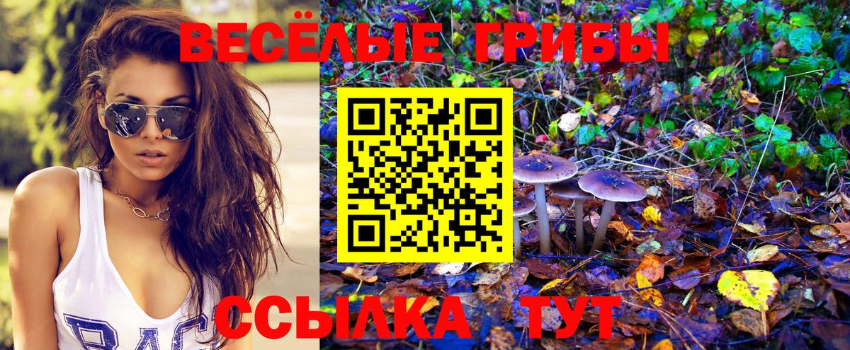 Галлюциногенные грибы ЛСД Татарск