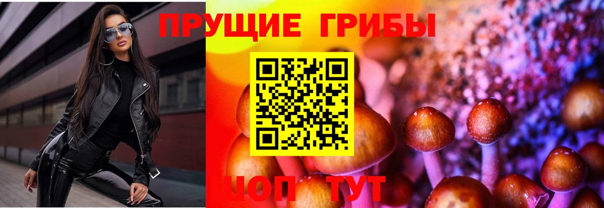 Галлюциногенные грибы Cubensis  Галлюциногенные грибы Psilocybine cubensis  Татарск 