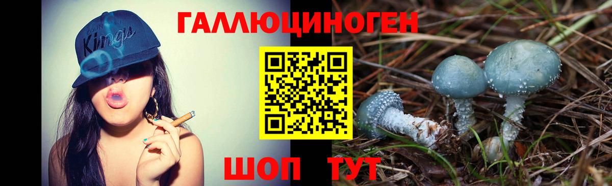 Псилоцибиновые грибы Magic Shrooms  Галлюциногенные грибы GOLDEN TEACHER  Татарск  Вход с VPN 